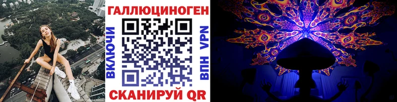 как найти   Мирный  Псилоцибиновые грибы Psilocybine cubensis 