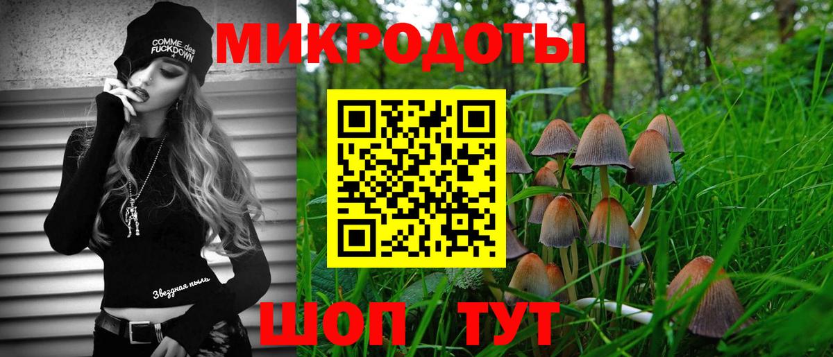 Мирный  Псилоцибиновые грибы MAGIC MUSHROOMS  Вход с VPN 