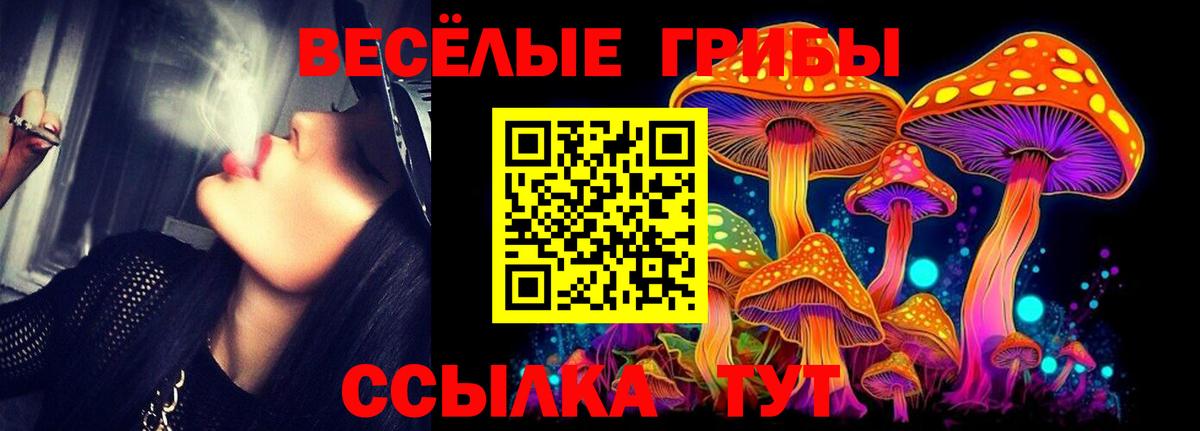 Галлюциногенные грибы Cubensis Мирный